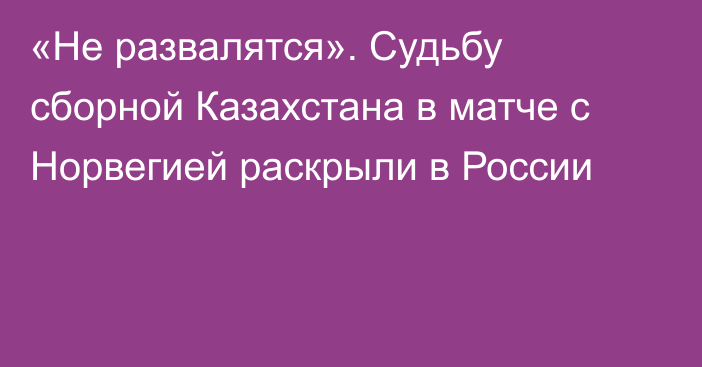 «Не развалятся». Судьбу сборной Казахстана в матче с Норвегией раскрыли в России