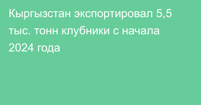 Кыргызстан экспортировал 5,5 тыс. тонн клубники с начала 2024 года