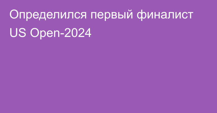 Определился первый финалист US Open-2024