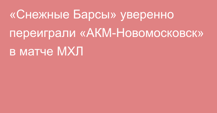 «Снежные Барсы» уверенно переиграли «АКМ-Новомосковск» в матче МХЛ