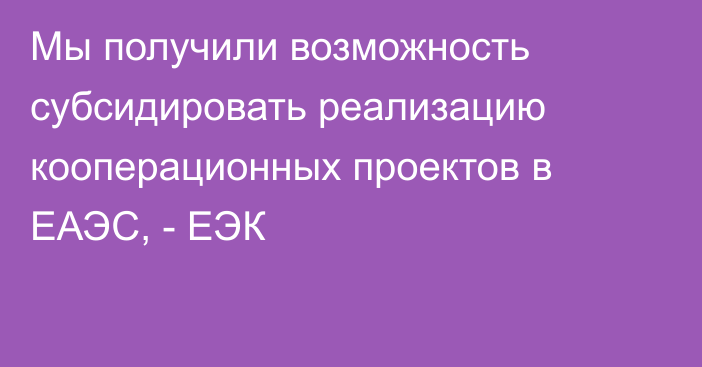 Мы получили возможность субсидировать реализацию кооперационных проектов в ЕАЭС, - ЕЭК