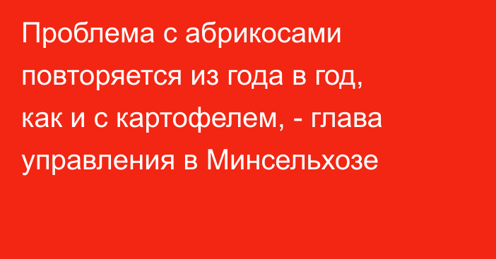 Проблема с абрикосами повторяется из года в год, как и с картофелем, - глава управления в Минсельхозе