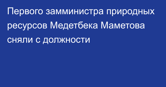 Первого замминистра природных ресурсов Медетбека Маметова сняли с должности