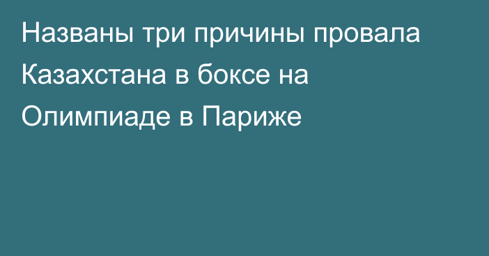 Названы три причины провала Казахстана в боксе на Олимпиаде в Париже