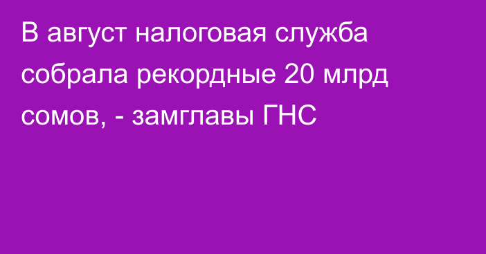 В август налоговая служба собрала рекордные 20 млрд сомов, - замглавы ГНС