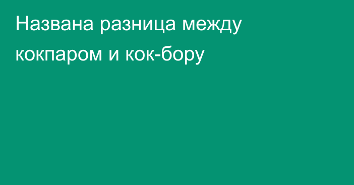 Названа разница между кокпаром и кок-бору