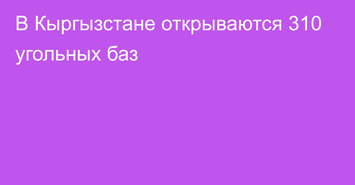 В Кыргызстане открываются 310 угольных баз