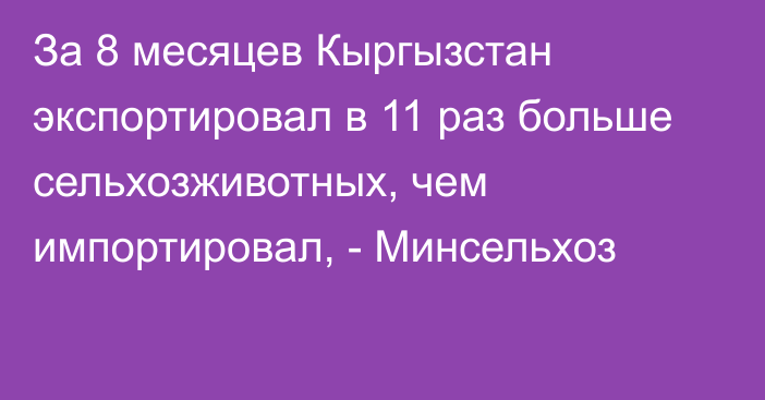 За 8 месяцев Кыргызстан экспортировал в 11 раз больше сельхозживотных, чем импортировал, - Минсельхоз