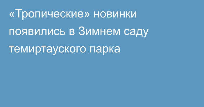 «Тропические» новинки появились в Зимнем саду темиртауского парка