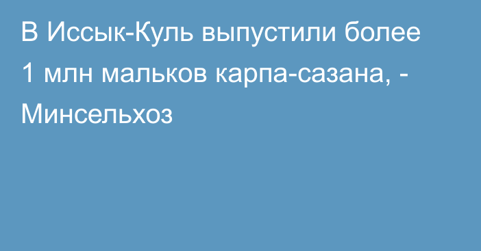 В Иссык-Куль выпустили более 1 млн мальков карпа-сазана, - Минсельхоз