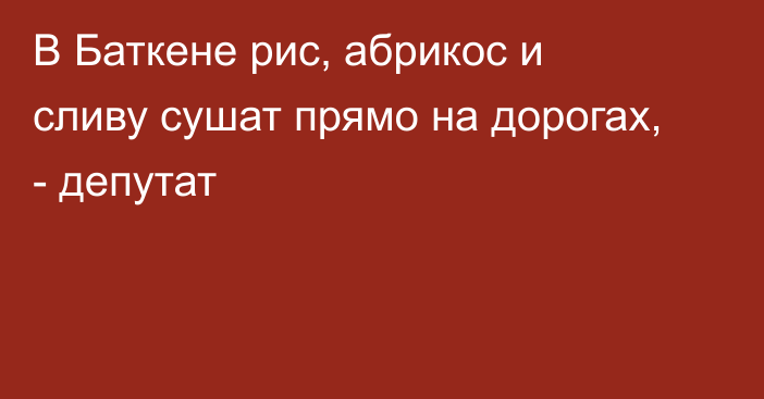 В Баткене рис, абрикос и сливу сушат прямо на дорогах, - депутат