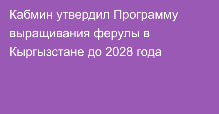 Кабмин утвердил Программу выращивания ферулы в Кыргызстане до 2028 года