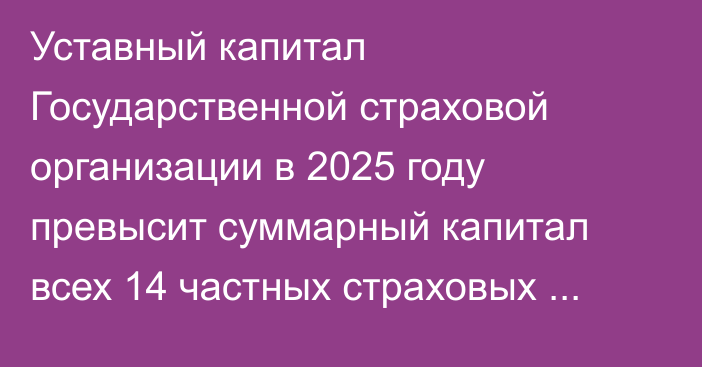 Уставный капитал Государственной страховой организации в 2025 году превысит суммарный капитал всех 14 частных страховых компаний