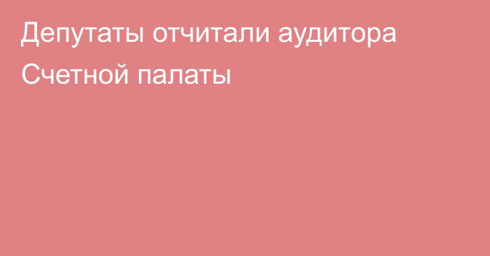 Депутаты отчитали аудитора Счетной палаты 