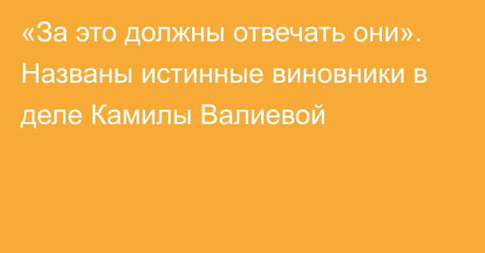 «За это должны отвечать они». Названы истинные виновники в деле Камилы Валиевой