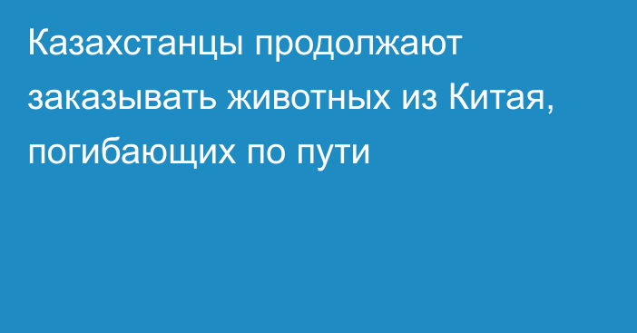 Казахстанцы продолжают заказывать животных из Китая, погибающих по пути