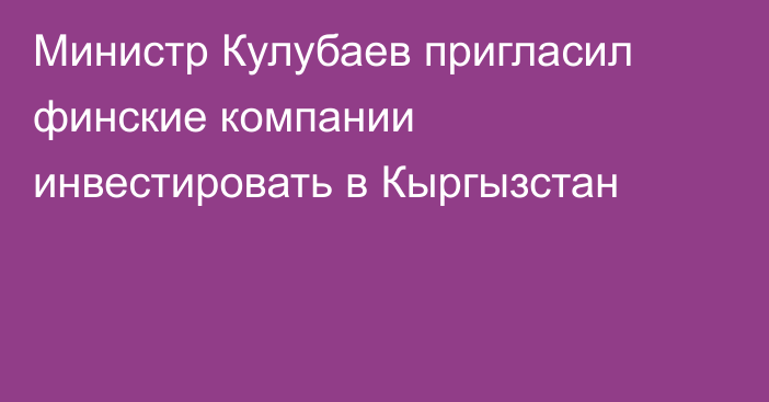 Министр Кулубаев пригласил финские компании инвестировать в Кыргызстан