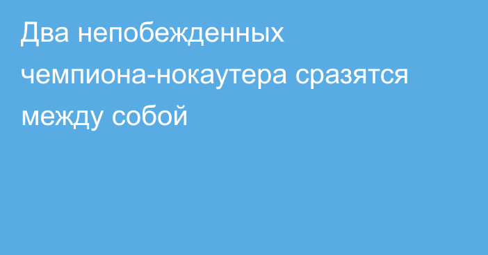 Два непобежденных чемпиона-нокаутера сразятся между собой