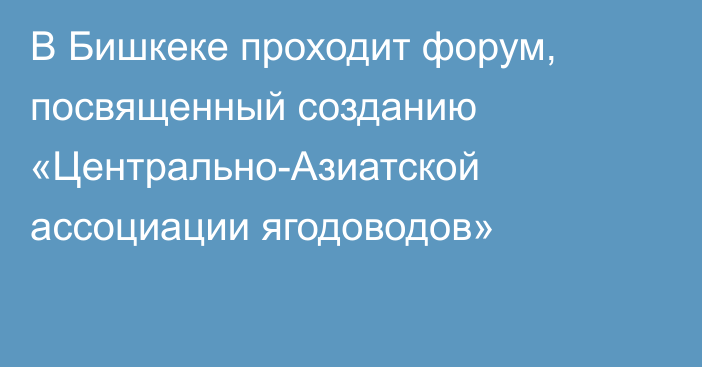 В Бишкеке проходит форум, посвященный созданию «Центрально-Азиатской ассоциации ягодоводов» 