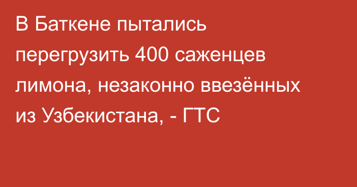 В Баткене пытались перегрузить 400 саженцев лимона, незаконно ввезённых из Узбекистана, - ГТС