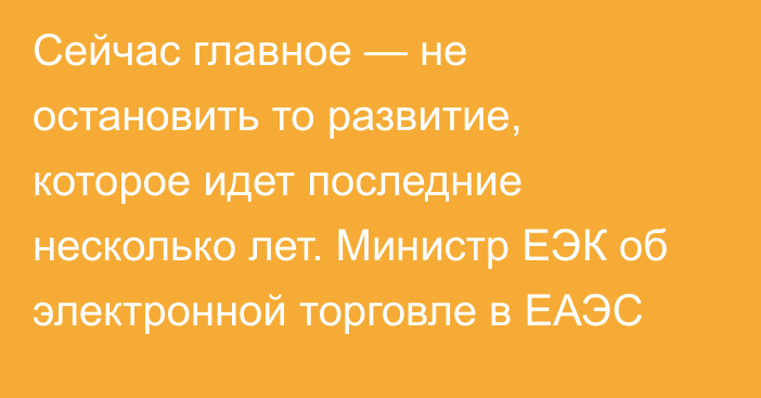 Cейчас главное — не остановить то развитие, которое идет последние несколько лет. Министр ЕЭК об электронной торговле в ЕАЭС