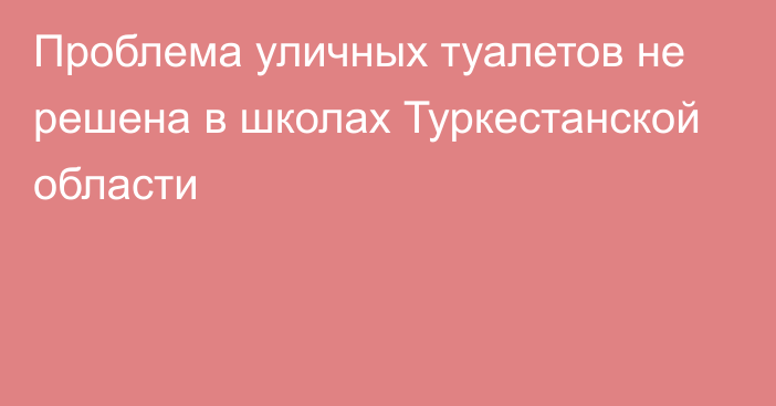 Проблема уличных туалетов не решена в школах Туркестанской области