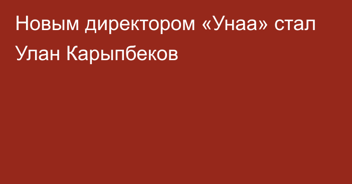 Новым директором «Унаа» стал Улан Карыпбеков