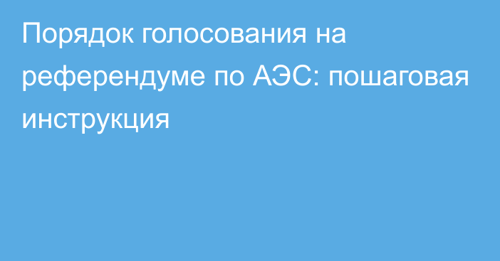 Порядок голосования на референдуме по АЭС: пошаговая инструкция