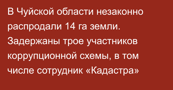 В Чуйской области незаконно распродали 14 га земли. Задержаны трое участников коррупционной схемы, в том числе сотрудник «Кадастра»