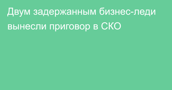 Двум задержанным бизнес-леди вынесли приговор в СКО