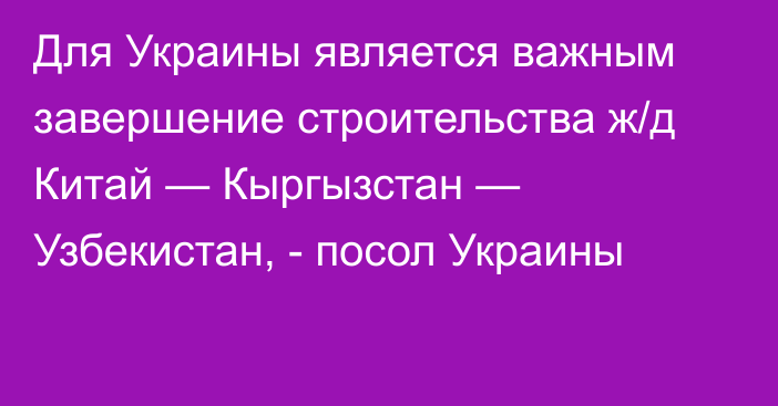 Для Украины является важным завершение строительства ж/д Китай — Кыргызстан — Узбекистан, - посол Украины