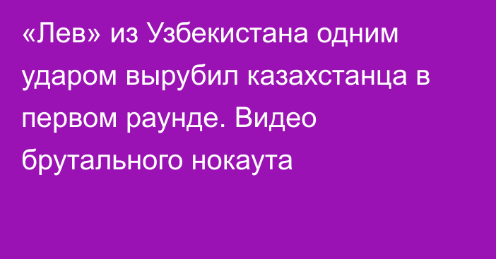 «Лев» из Узбекистана одним ударом вырубил казахстанца в первом раунде. Видео брутального нокаута