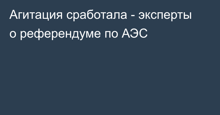 Агитация сработала - эксперты о референдуме по АЭС