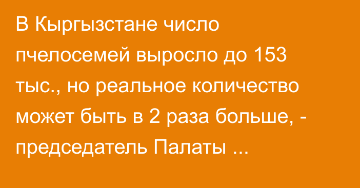 В Кыргызстане число пчелосемей выросло до 153 тыс., но реальное количество может быть в 2 раза больше, - председатель Палаты пчеловодов