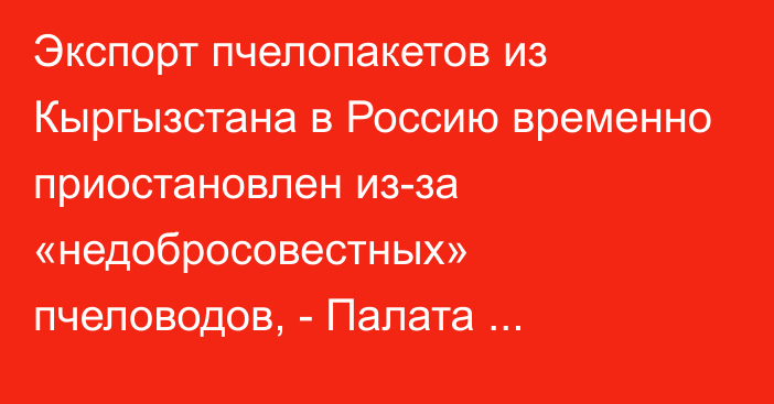 Экспорт пчелопакетов из Кыргызстана в Россию временно приостановлен из-за «недобросовестных» пчеловодов, - Палата пчеловодов