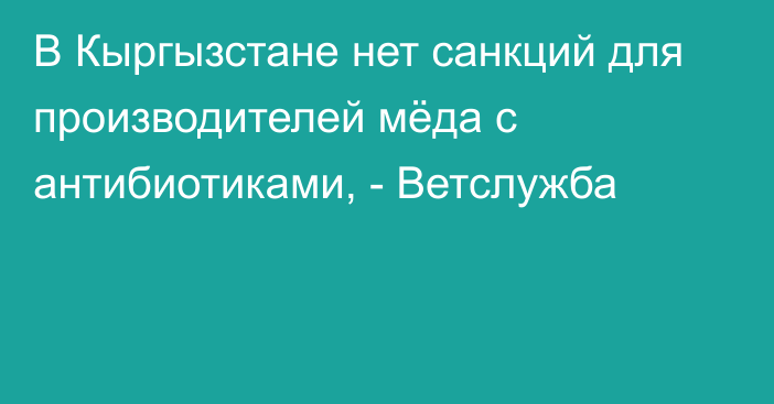 В Кыргызстане нет санкций для производителей мёда с антибиотиками, - Ветслужба