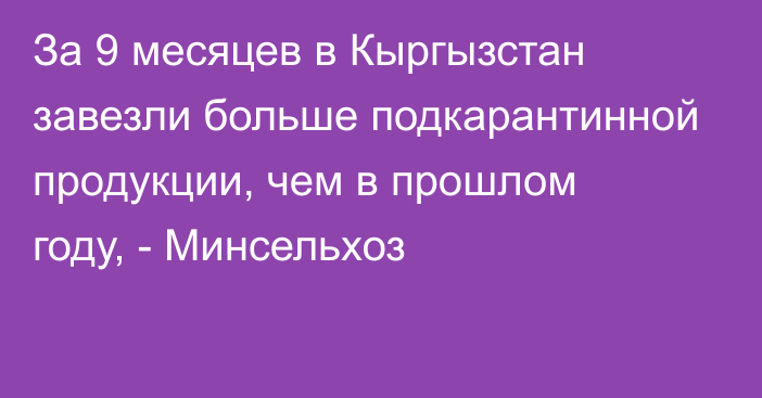 За 9 месяцев в Кыргызстан завезли больше подкарантинной продукции, чем в прошлом году, - Минсельхоз 