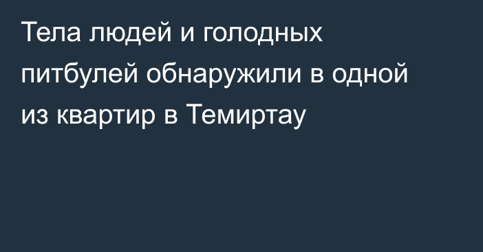 Тела людей и голодных питбулей обнаружили в одной из квартир в Темиртау