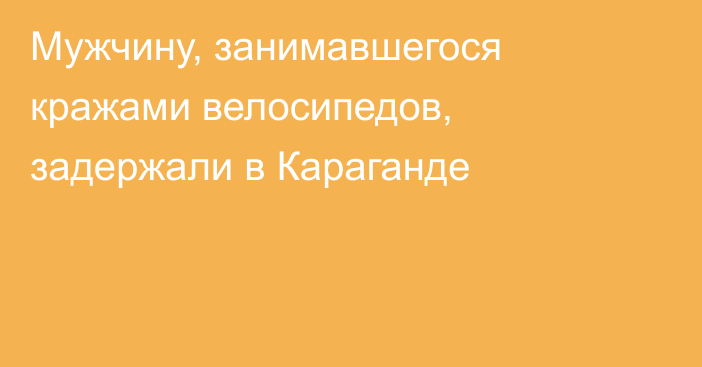 Мужчину, занимавшегося кражами велосипедов, задержали в Караганде