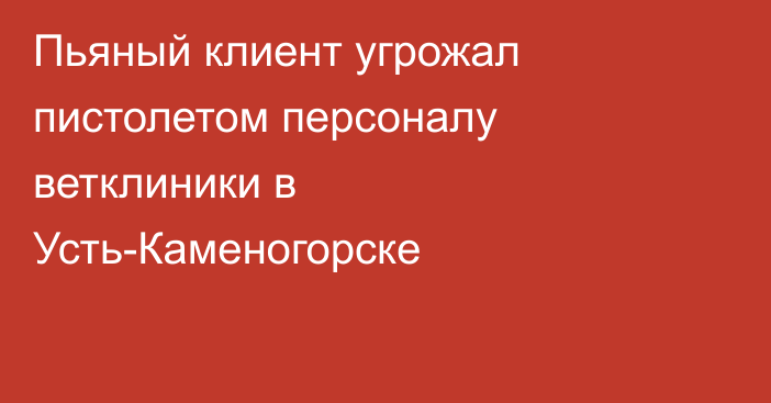 Пьяный клиент угрожал пистолетом персоналу ветклиники в Усть-Каменогорске