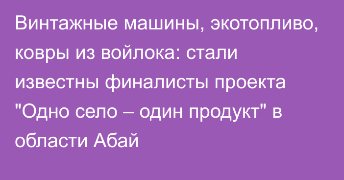 Винтажные машины, экотопливо, ковры из войлока: стали известны финалисты проекта 