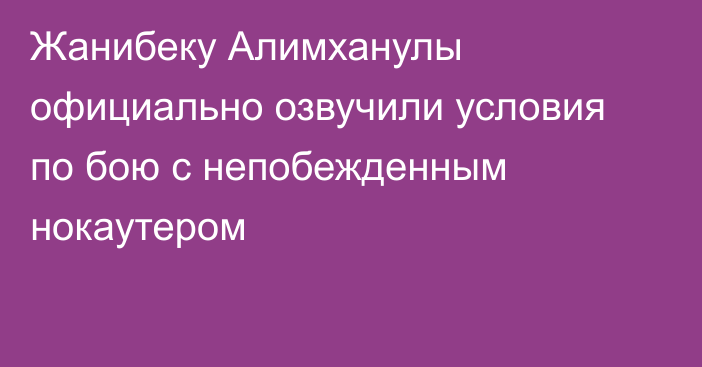 Жанибеку Алимханулы официально озвучили условия по бою с непобежденным нокаутером