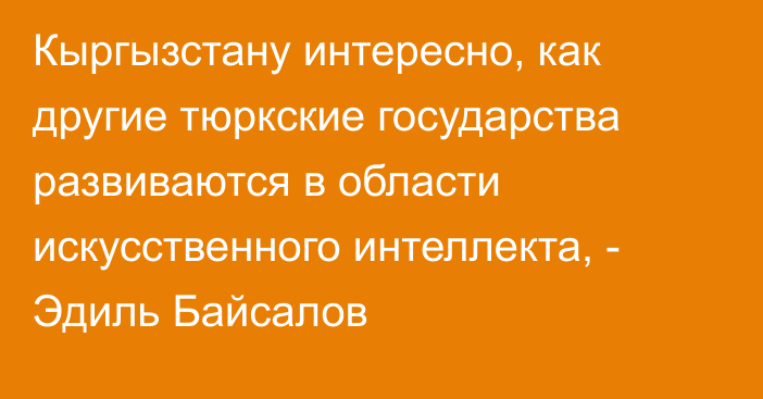 Кыргызстану интересно, как другие тюркские государства развиваются в области искусственного интеллекта, - Эдиль Байсалов