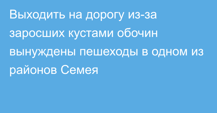 Выходить на дорогу из-за заросших кустами обочин вынуждены пешеходы в одном из районов Семея