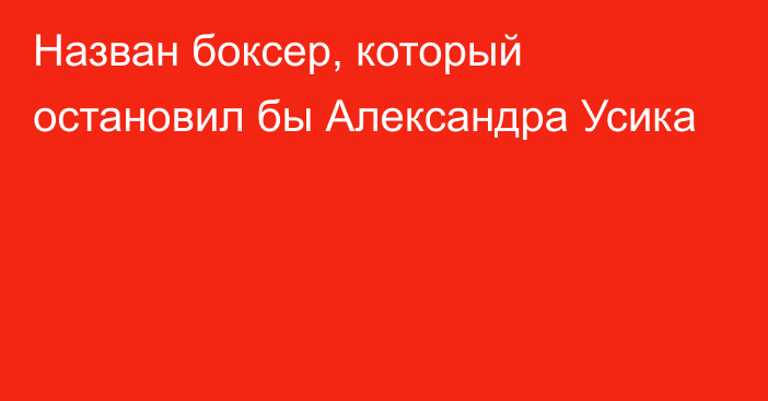 Назван боксер, который остановил бы Александра Усика