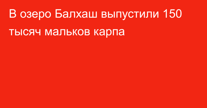 В озеро Балхаш выпустили 150 тысяч мальков карпа