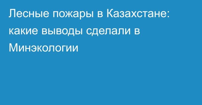 Лесные пожары в Казахстане: какие выводы сделали в Минэкологии