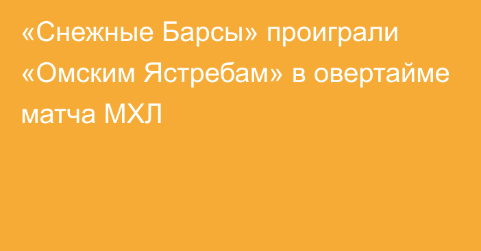 «Снежные Барсы» проиграли «Омским Ястребам» в овертайме матча МХЛ