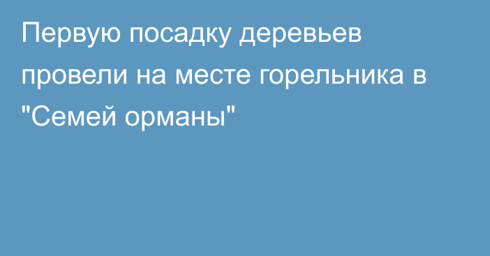 Первую посадку деревьев провели на месте горельника в 