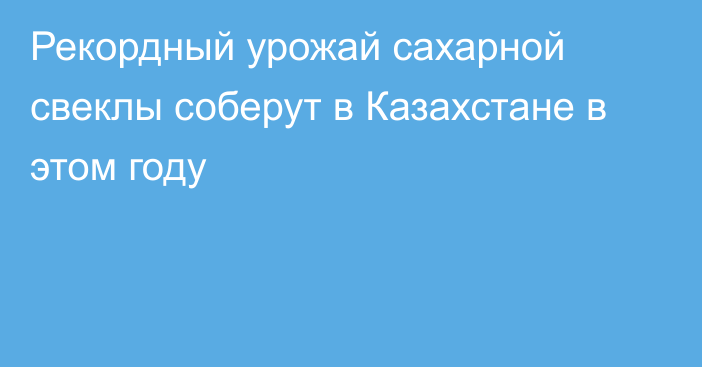 Рекордный урожай сахарной свеклы соберут в Казахстане в этом году